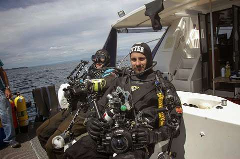 Ferry Divers photo